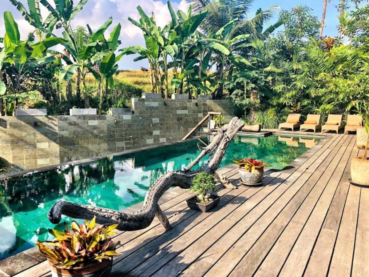 Dragon House - Your Dream House In Bali! Ubud  Ngoại thất bức ảnh