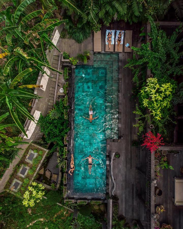 Dragon House - Your Dream House In Bali! Ubud  Ngoại thất bức ảnh